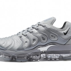 Nike Air Vapormax TN Grey Shoes For Men 