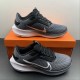 Nike Air Zoom Pegasus 40 Black Silver DV3854-106 For Men